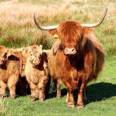 Drumbuie Farm B&B Drumnadrochit Kültér fotó