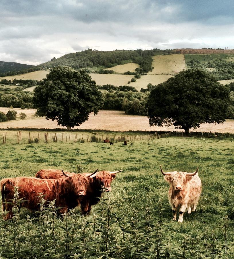Drumbuie Farm B&B Drumnadrochit Kültér fotó