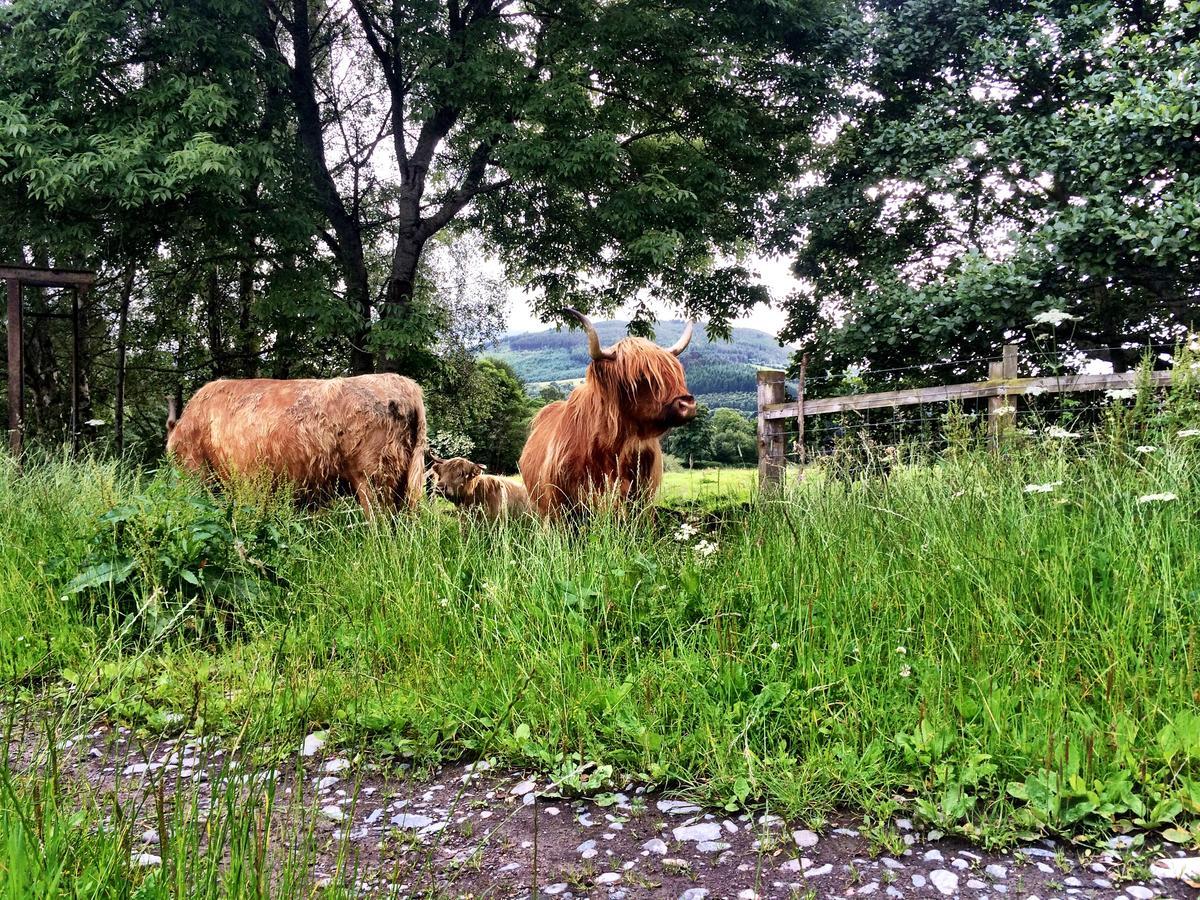 Drumbuie Farm B&B Drumnadrochit Kültér fotó