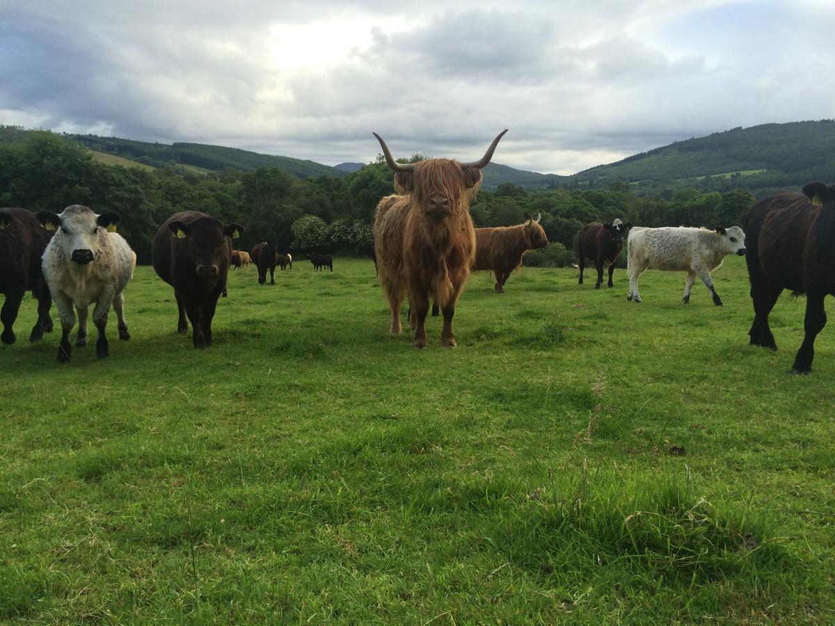 Drumbuie Farm B&B Drumnadrochit Kültér fotó